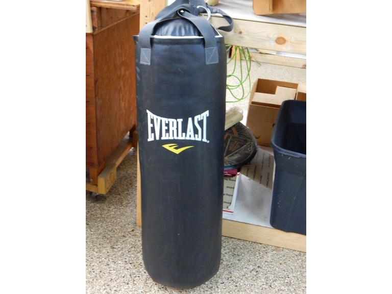Everlast Punching Bag Hanging Kitchen Walden Wong